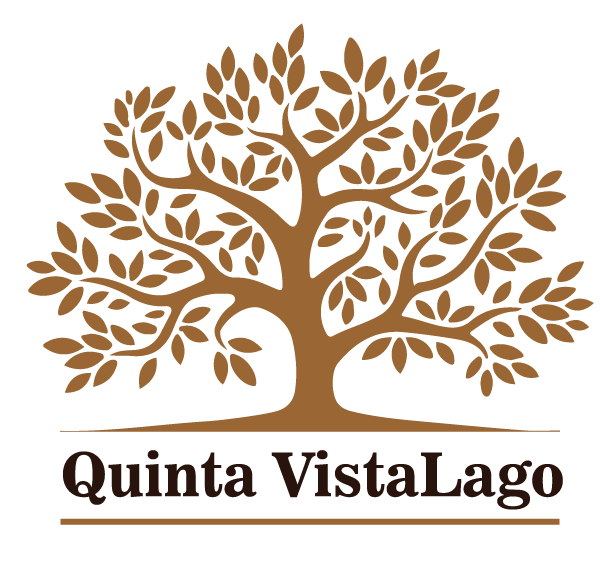 cropped-1.-Archivo-para-entregar.png